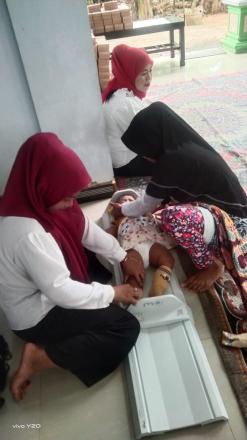 Pelaksanaan Posyandu ILP Bulan Agustus di Desa Nglinggis